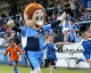 Bodger